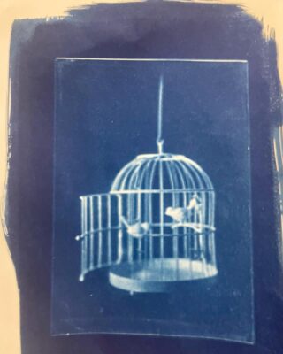 Syanotypia kemikaali: Valokuvauksen Kemiallinen Taide 3 Syanotypia kemikaali: Valokuvauksen Kemiallinen Taide